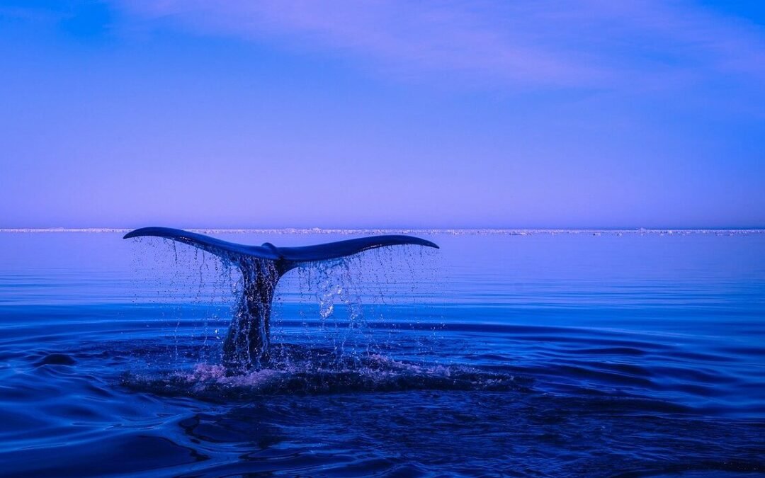 Docker – Prendre en main le gestionnaire de conteneurs