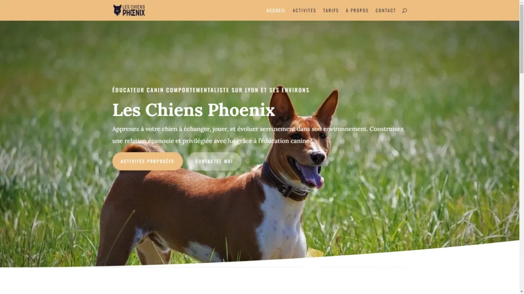 Les Chiens Phoenix
